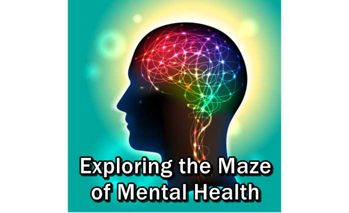 Maze of Mental Health